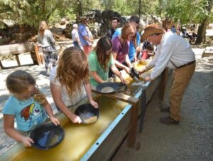 A group of people are pouring gold into a pan at Columbia State Historic Park.