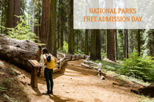 National parks free admission day in Tuolumne County.